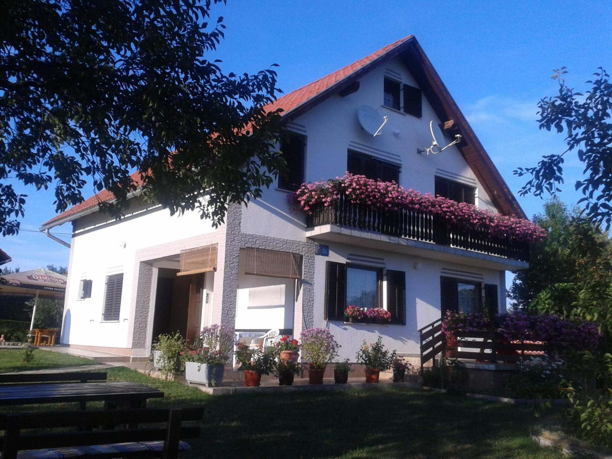 Guest House Adrijana Seliste Dreznicko Exterior foto