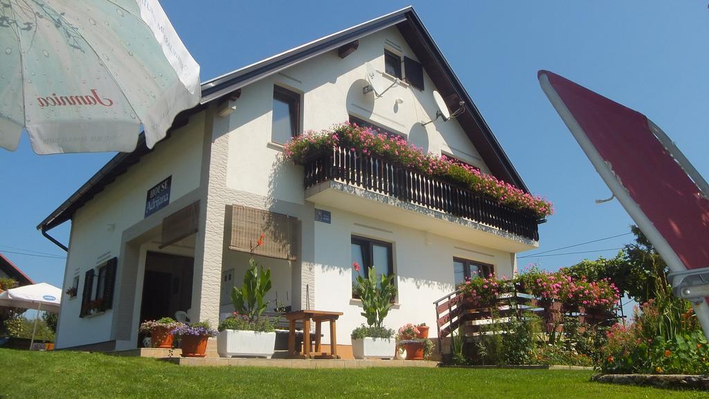 Guest House Adrijana Seliste Dreznicko Exterior foto