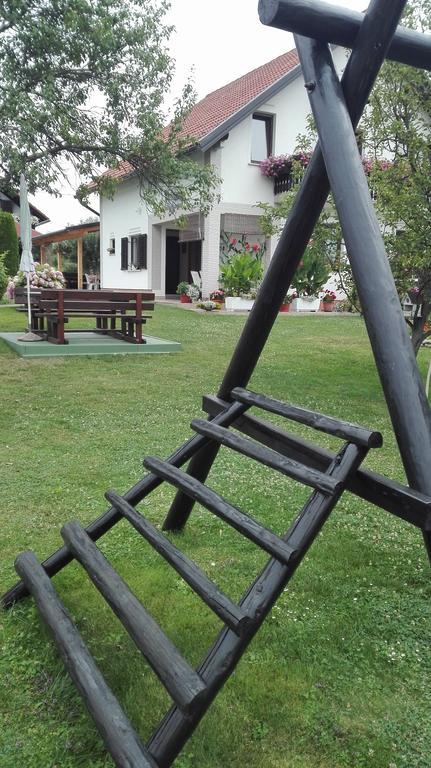 Guest House Adrijana Seliste Dreznicko Exterior foto