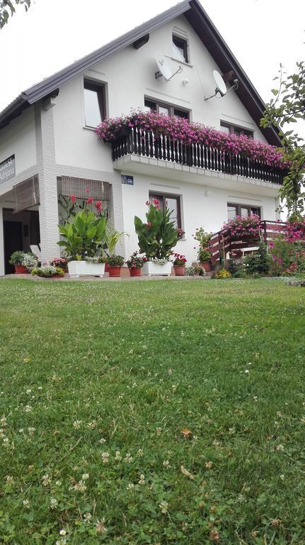 Guest House Adrijana Seliste Dreznicko Exterior foto