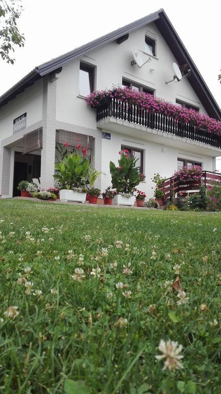 Guest House Adrijana Seliste Dreznicko Exterior foto