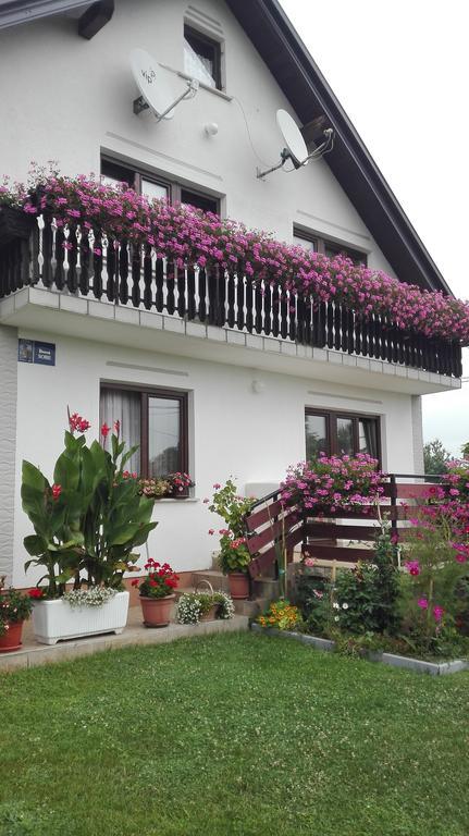 Guest House Adrijana Seliste Dreznicko Exterior foto