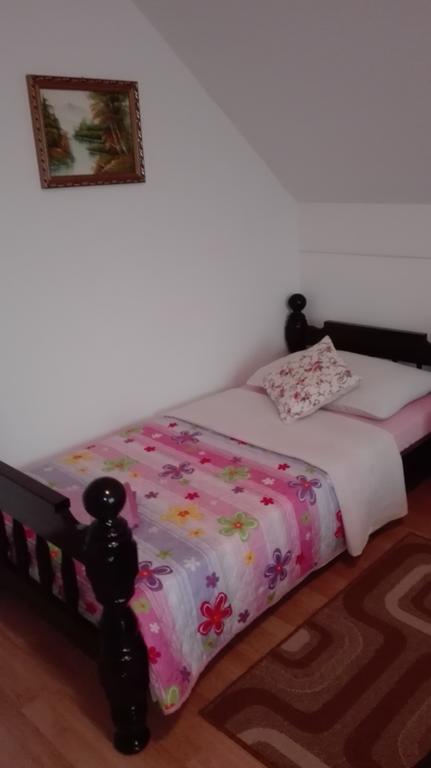 Guest House Adrijana Seliste Dreznicko Exterior foto