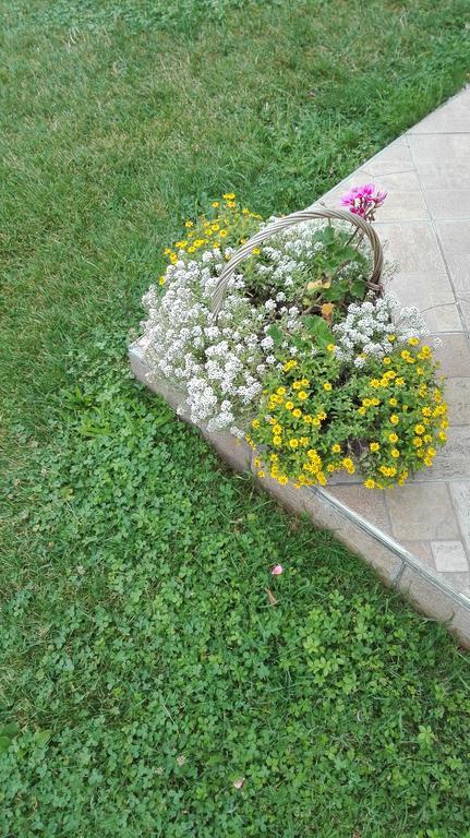 Guest House Adrijana Seliste Dreznicko Exterior foto