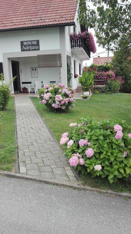 Guest House Adrijana Seliste Dreznicko Exterior foto