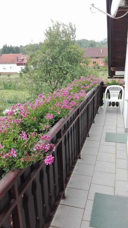 Guest House Adrijana Seliste Dreznicko Exterior foto