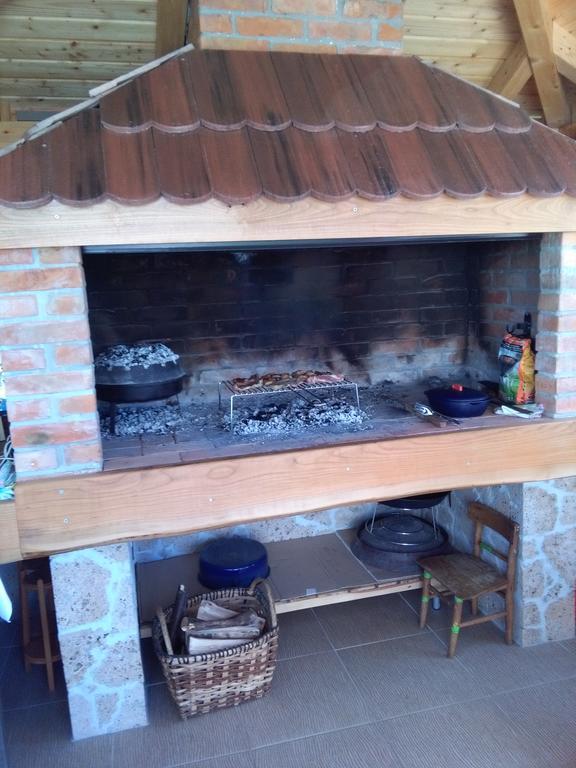 Guest House Adrijana Seliste Dreznicko Exterior foto