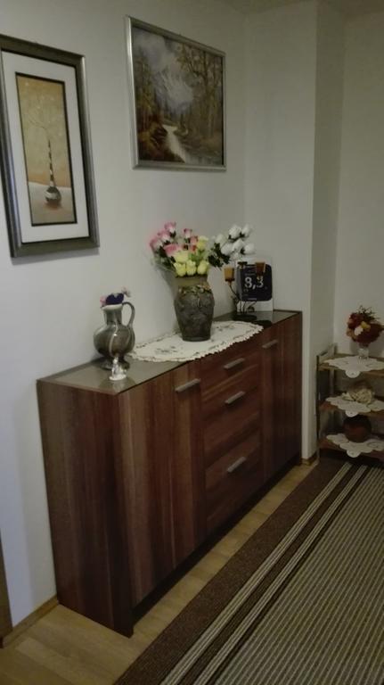 Guest House Adrijana Seliste Dreznicko Exterior foto