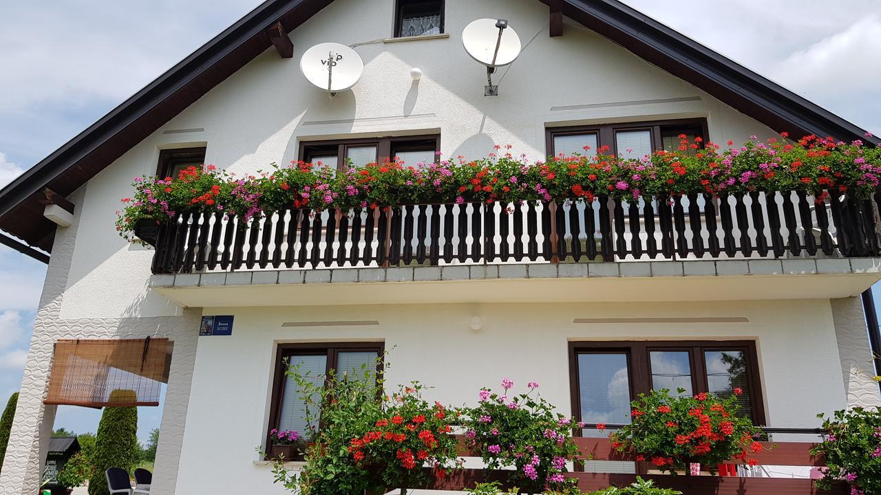 Guest House Adrijana Seliste Dreznicko Exterior foto