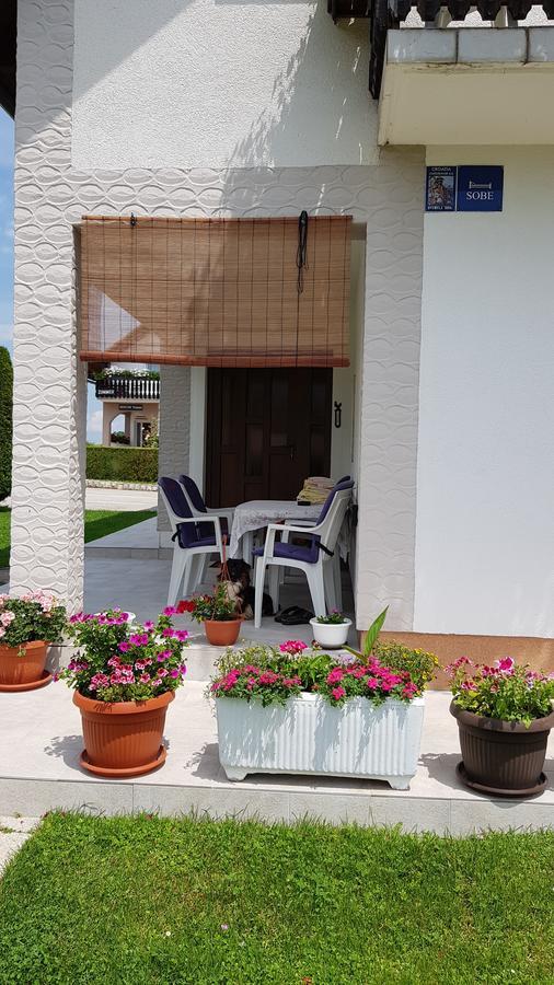 Guest House Adrijana Seliste Dreznicko Exterior foto