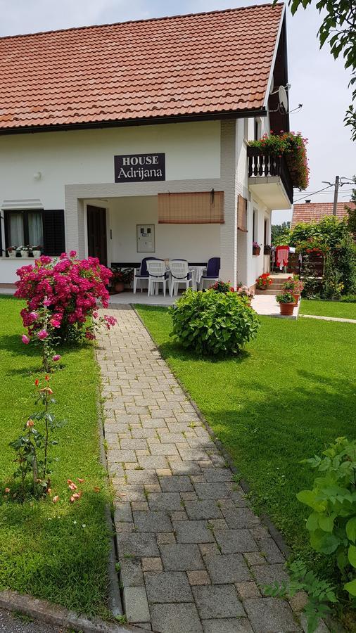 Guest House Adrijana Seliste Dreznicko Exterior foto